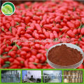 GMP factory supply organic goji berries extract polysaccharide